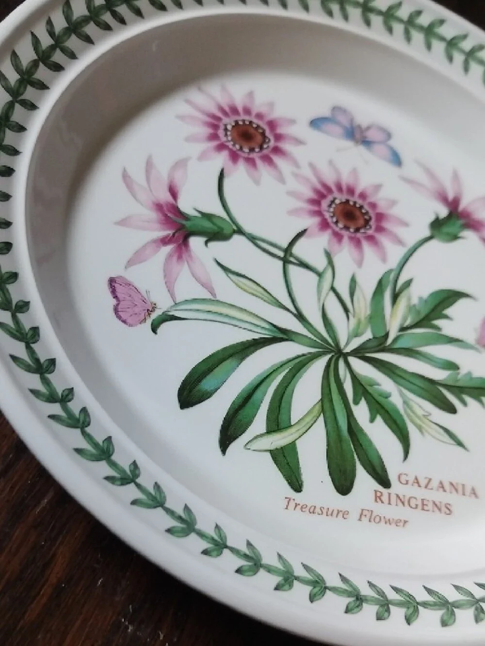 Port Meirion New Gazania Ringens Floral 8.5 Plate - Pink